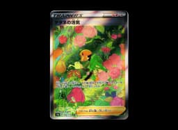 Gardenia’s Vigor SARs12a 243/172