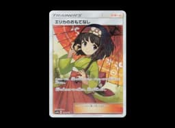 Erika’s Hospitality SRSM12a 190/173