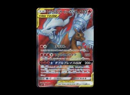 Charizard & Braixen GX SRSM11a 067/064