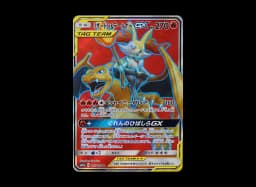 Charizard & Braixen GX RRSM11a 008/064