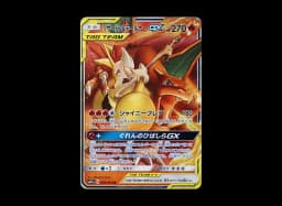 Reshiram & Charizard GX RRSM12a 016/173